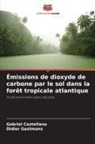 Gabriel Castellano, Didier Gastmans - Émissions de dioxyde de carbone par le sol dans la forêt tropicale atlantique