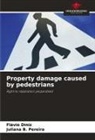 Juliana B. Pereira, Flávio Diniz - Property damage caused by pedestrians