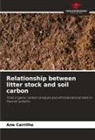 Ane Carrilho - Relationship between litter stock and soil carbon