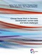 Maite Gabriel, Silke Brigitta Gahleitner, Christine Kröger, Christine u a Kröger, Helmut Pauls, Sandra Wesenberg - Clinical Social Work in Germany: Development, current state and future challenges