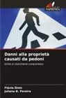 Juliana B. Pereira, Flávio Diniz - Danni alla proprietà causati da pedoni