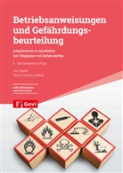Ute Stapel, Marie-Christin Stollner - Betriebsanweisungen und Gefährdungsbeurteilung