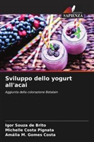 Michelle Costa Pignata, Amália M. Gomes Costa, Igor Souza de Brito - Sviluppo dello yogurt all'acai