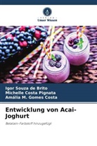 Michelle Costa Pignata, GOMES, Amália M. Gomes Costa, Igor Souza de Brito - Entwicklung von Acai-Joghurt