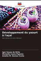 Michelle Costa Pignata, Amália M. Gomes Costa, Igor Souza de Brito - Développement du yaourt à l'açaï