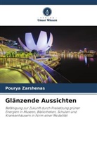 Pourya Zarshenas - Glänzende Aussichten