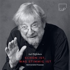 Axel Pfefferkorn, Louisoder und Pfefferkorn Stiftung, Louisoder und Pfefferkorn Stiftung - Axel Pfefferkorn - Sch&ouml;n ist, was stimmig ist