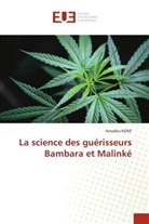 Amadou Koné - La science des guérisseurs Bambara et Malinké
