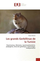 Hanen Khemiri - Les grands Gerbillinae de la Tunisie