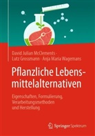 Lutz Grossmann, McClements, David Julian McClements, Wagemans, Anja Maria Wagemans - Pflanzliche Lebensmittelalternativen