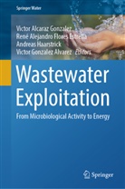 Victor Alcaraz Gonzalez, René Alejandro Flores Estrella, René Alejandro Flores Estrella, Victor Gonzalez Alvarez, Andreas Haarstrick, Haarstrick et al - Wastewater Exploitation