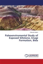 Olatunde Salami - Paleoenviromental Study of Exposed Siltstone, Enagi Formation, Bida