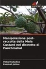 Kamlesh Jethva, Vishal Kukadiya - Manipolazione post-raccolta della Mela Custard nel distretto di Panchmahal