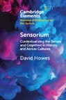 David Howes, Howes David - Sensorium