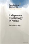 Seth Oppong, Seth (University of Botswana) Oppong - Indigenous Psychology in Africa