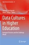 Juliana E Raffaghelli, Juliana E. Raffaghelli, Sangrà, Albert Sangrà - Data Cultures in Higher Education
