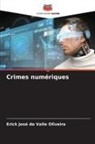 Erick José do Valle Oliveira - Crimes numériques