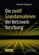 Stegbauer, Christian Stegbauer - Die zwölf Grundannahmen der Netzwerkforschung