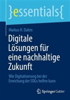 Markus H Dahm, Markus H. Dahm - Digitale Lösungen für eine nachhaltige Zukunft