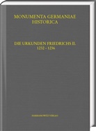 Christian Friedl, Katharina Gutermuth, Klaus Höflinger, Klaus Höflinger u a, Maximilian Lang, Katharina Meister... - Die Urkunden Friedrichs II., 2 Teile