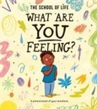 Daniel Gray-Barnett, The School of Life, Daniel Gray-Barnett, Daniel (Illustrator) Gray-Barnett - What Are You Feeling?