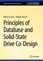 Philippe Bonnet, Alberto Lerner - Principles of Database and Solid-State Drive Co-Design