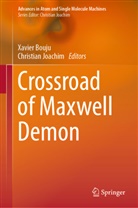 Xavier Bouju, Joachim, Christian Joachim - Crossroad of Maxwell Demon