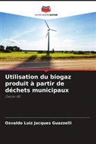 Osvaldo Luiz Jacques Guazzelli - Utilisation du biogaz produit à partir de déchets municipaux