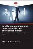 Adilson de Souza Santos - Le rôle du management dans la survie des entreprises tierces