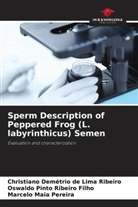 Christiano Demétrio de Lima Ribeiro, Marcelo Maia Pereira, Oswaldo Pinto Ribeiro Filho - Sperm Description of Peppered Frog (L. labyrinthicus) Semen