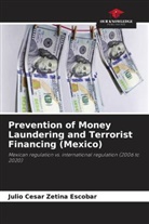Julio Cesar Zetina Escobar - Prevention of Money Laundering and Terrorist Financing (Mexico)