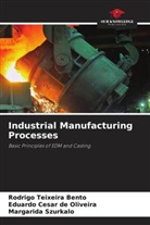Rodrigo Teixeira Bento, Eduardo César de Oliveira, Margarida Szurkalo - Industrial Manufacturing Processes