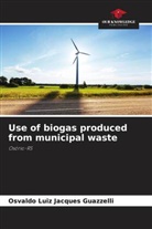 Osvaldo Luiz Jacques Guazzelli - Use of biogas produced from municipal waste