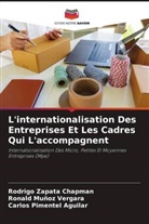 Ronald Muñoz Vergara, Carlos Pimentel Aguilar, Rodrigo Zapata Chapman - L'internationalisation Des Entreprises Et Les Cadres Qui L'accompagnent