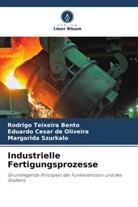 Rodrigo Teixeira Bento, Eduardo César de Oliveira, Margarida Szurkalo - Industrielle Fertigungsprozesse