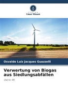 Osvaldo Luiz Jacques Guazzelli - Verwertung von Biogas aus Siedlungsabfällen