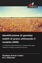 R. S. Sikarwar, R.S. Sikarwar, Pradeep Kumar Yadav - Identificazione di genotipi stabili di grano utilizzando il modello AMMI