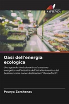 Pourya Zarshenas - Oasi dell'energia ecologica