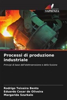 Rodrigo Teixeira Bento, Eduardo César de Oliveira, Margarida Szurkalo - Processi di produzione industriale