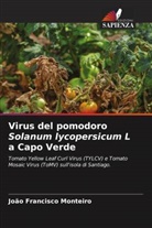 João Francisco Monteiro - Virus del pomodoro Solanum lycopersicum L a Capo Verde