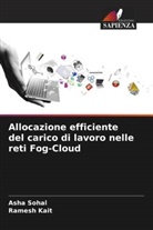 Ramesh Kait, Asha Sohal - Allocazione efficiente del carico di lavoro nelle reti Fog-Cloud