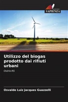 Osvaldo Luiz Jacques Guazzelli - Utilizzo del biogas prodotto dai rifiuti urbani