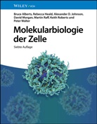 Bruce Alberts, Rebecca Heald, Alexander D Johnson, Alexander D. Johnson, David Morgan, Martin Raff... - Molekularbiologie der Zelle
