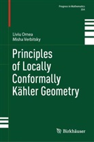 Liviu Ornea, Misha Verbitsky - Principles of Locally Conformally Kähler Geometry
