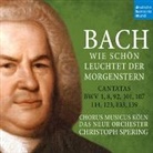Johann Sebastian Bach - Cantatas BWV 1,8,92,101,107,114,123,133,139 (Hörbuch)