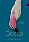 Xulio Gutiérrez, Nicolás Fernández Prímola - Bocas
