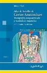 Torsten B. Möller, Emil Reif - Atlas de bolsillo de cortes anatómicos : tomografía computarizada y resonancia magnética : tórax, corazón, abdomen y pelvis