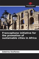 Zabeirou Soufianou - Francophone initiative for the promotion of sustainable cities in Africa