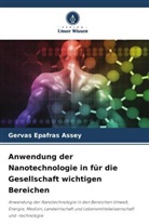 Gervas Epafras Assey - Anwendung der Nanotechnologie in für die Gesellschaft wichtigen Bereichen