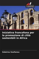 Zabeirou Soufianou - Iniziativa francofona per la promozione di città sostenibili in Africa